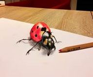 Anamorphic ladybug